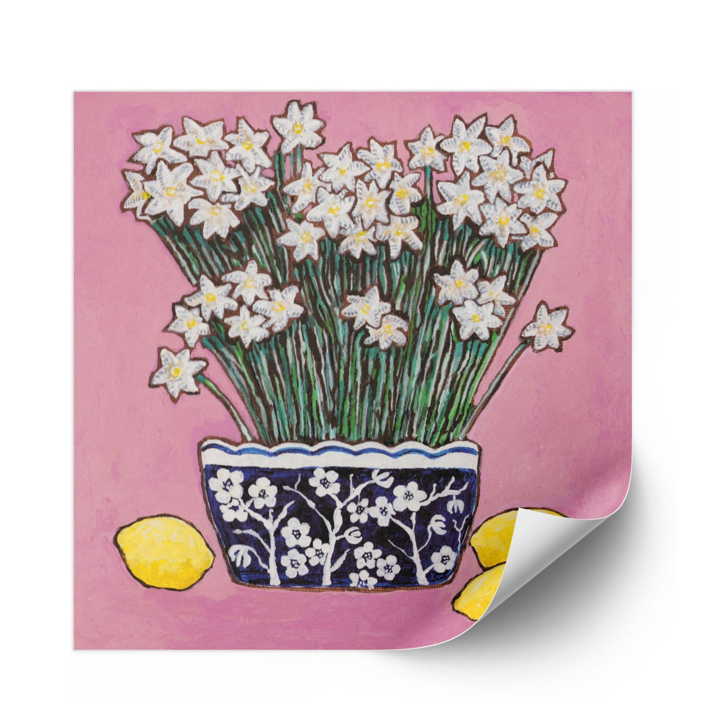 A whimsical painting of paperwhites in a blue and white floral vase surrounded by lemons against a bright pink background.
